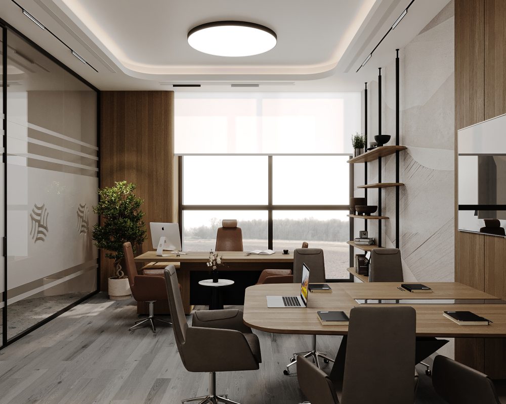 6- Offices -Director 1